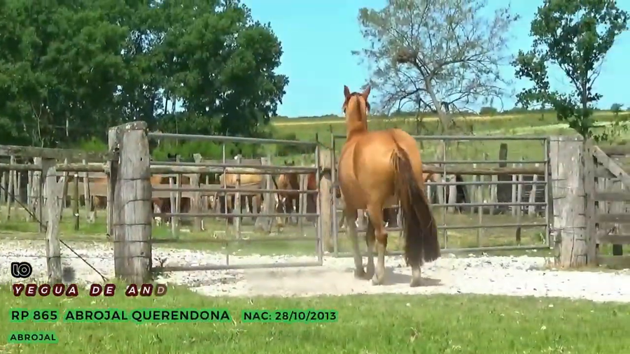 Lote Abrojal Querendona