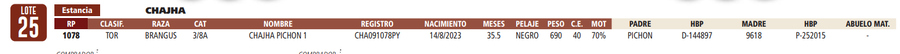 Lote LOTE 25