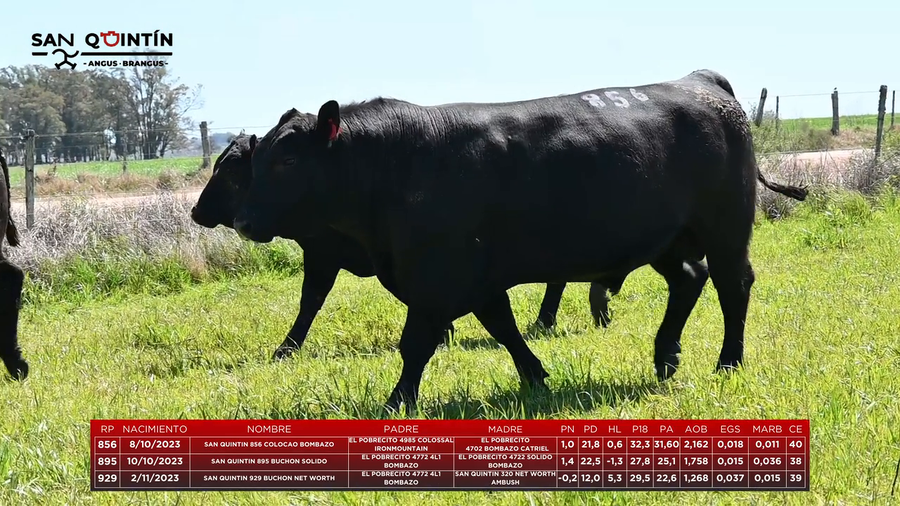 Lote Lote 2 - San Quintin