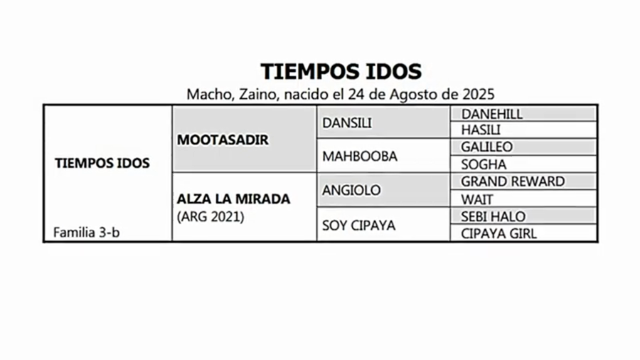 Lote TIEMPOS IDOS