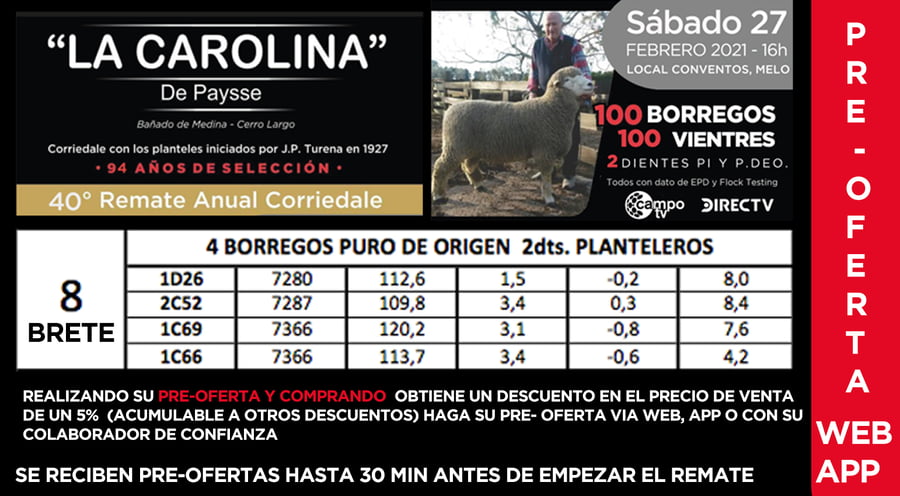 Lote 1 Borregos Planteleros en Cerro Largo, Cerro Largo