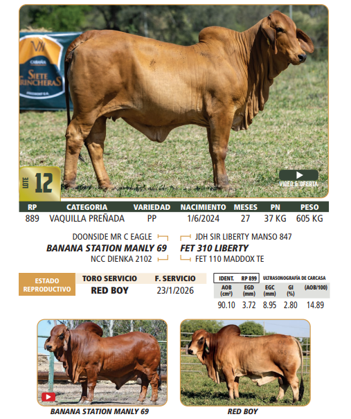 Lote LOTE 12