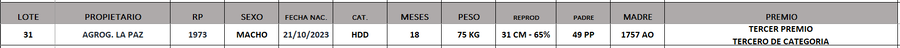 Lote LOTE 31