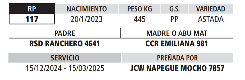 Lote LOTE 16
