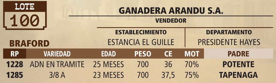 Lote LOTE 100 - VIVO