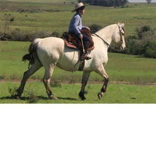 Lote SANTA GLORIA AMALLIRITA