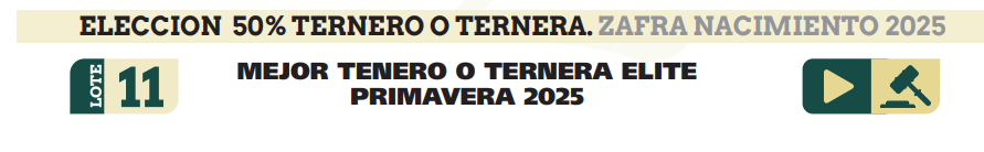 Lote LOTE 11
