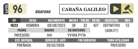 Lote LOTE 96