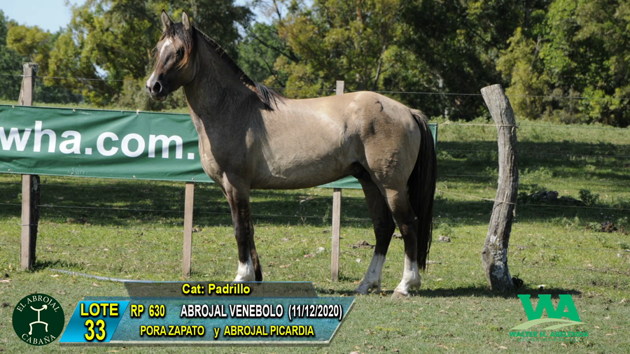 Lote ABROJAL VENEBOLO