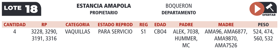 Lote LOTE 18