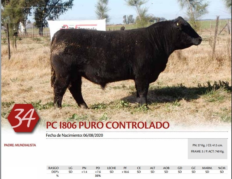 Lote TORO