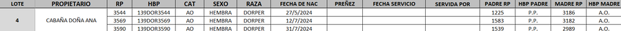 Lote LOTE 4