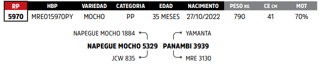 Lote LOTE 12