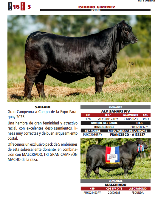 Lote LOTE 16