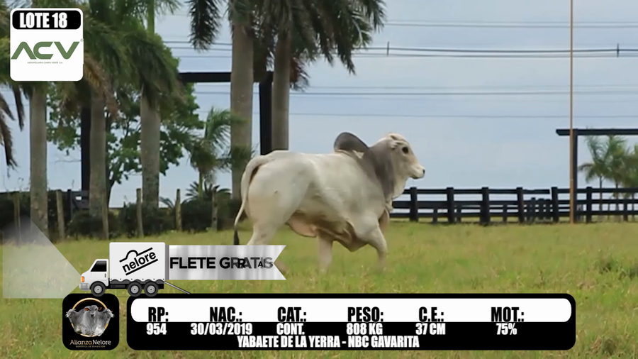 Lote LOTE  18 -RP 954