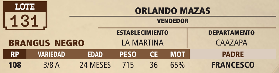 Lote LOTE 131 - VIVO