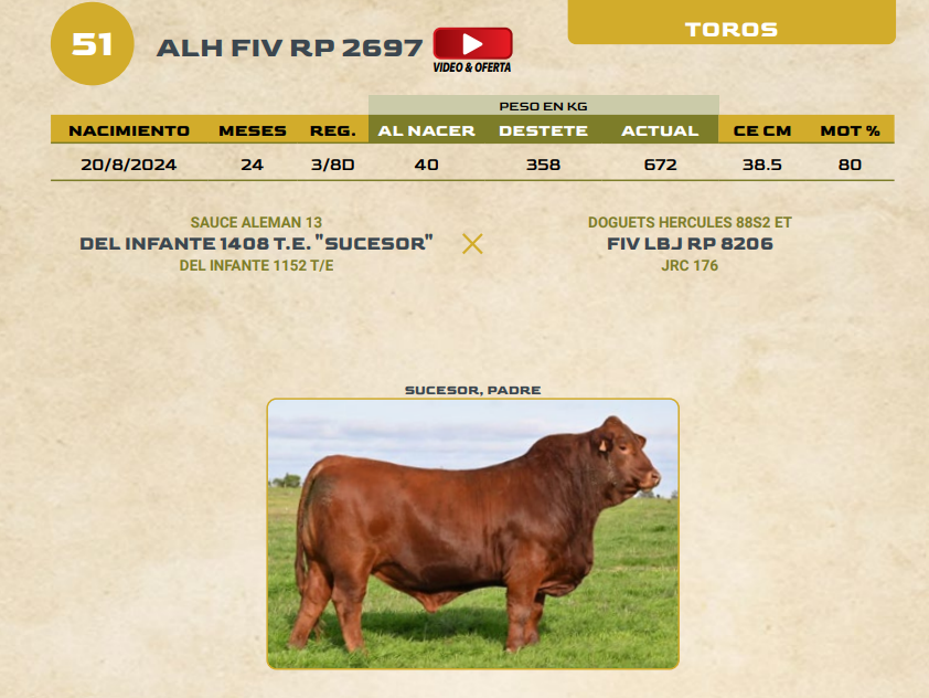 Lote LOTE 51