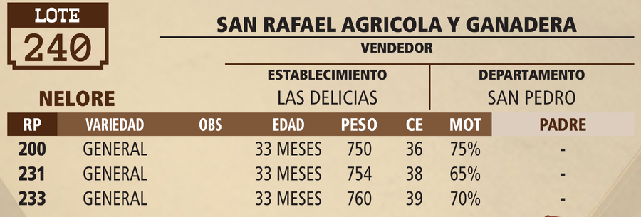 Lote LOTE 240 - VIVO