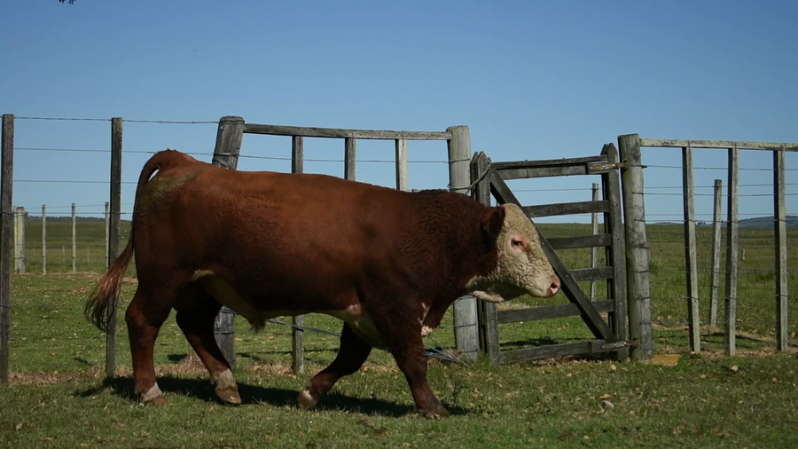 Lote "Valle Del Laurel" , RP 445