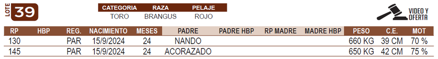 Lote LOTE 39