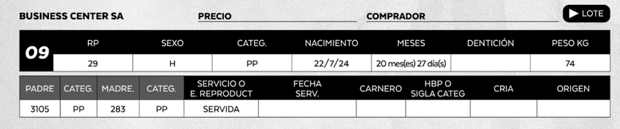 Lote LOTE 9