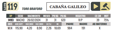 Lote LOTE 119