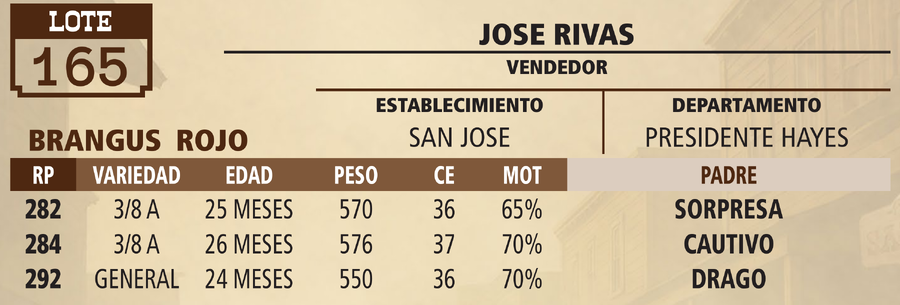 Lote LOTE 165 - VIVO
