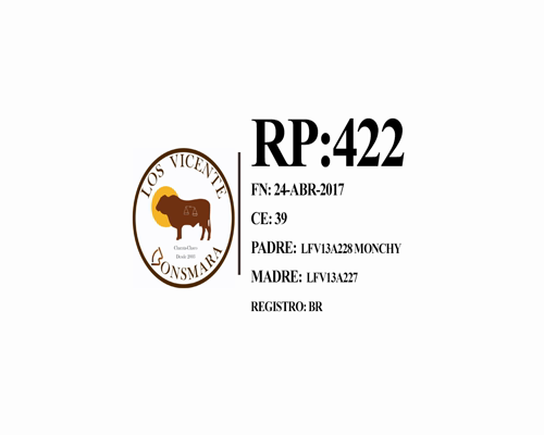 Lote Toro Cabaña Los Vicente (RP422)