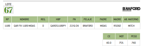 Lote LOTE 67