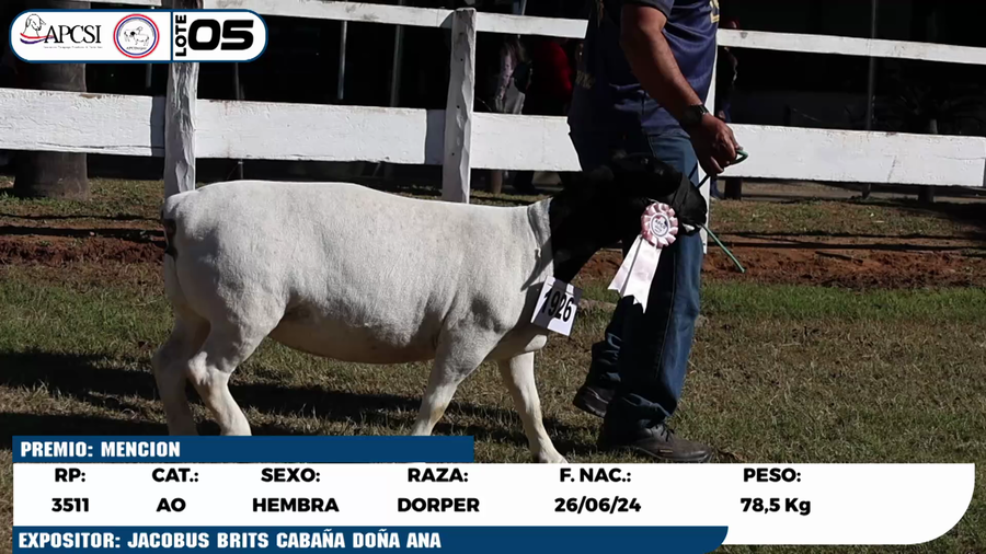 Lote LOTE 5