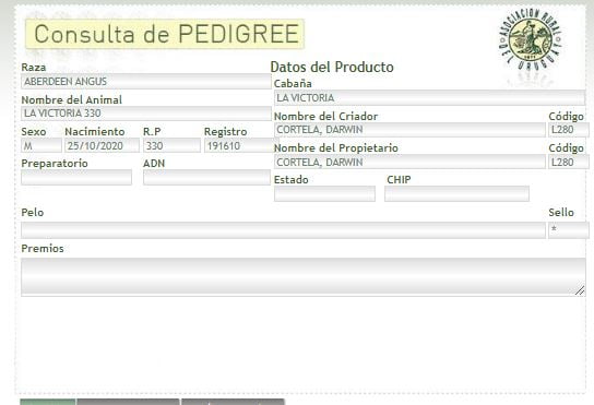 Lote TORO PI - RP 330