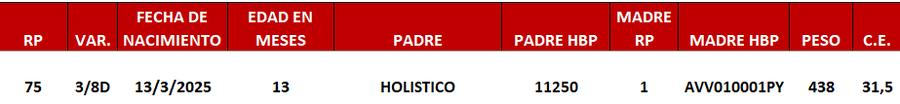 Lote LOTE 9 -DE JUNIOR