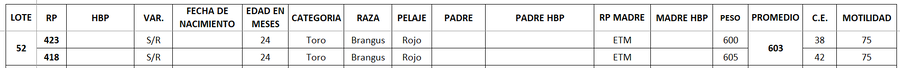 Lote LOTE 52