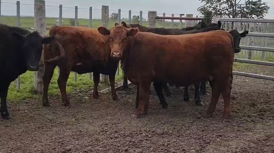 Lote Estancia La Invernada