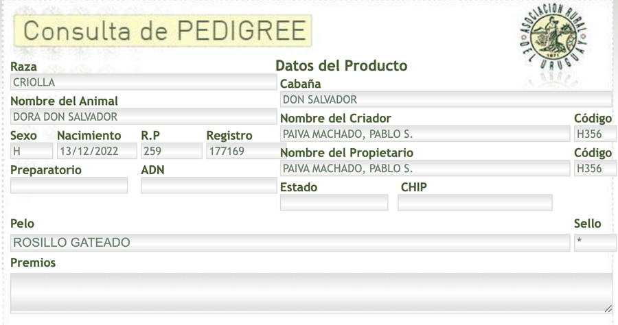 Lote Dora Don Salvador