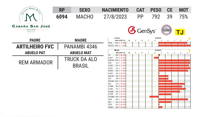 Lote LOTE 30