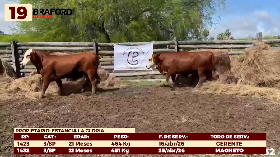 Lote LOTE 19 - VAQUILLAS DE CAMPO