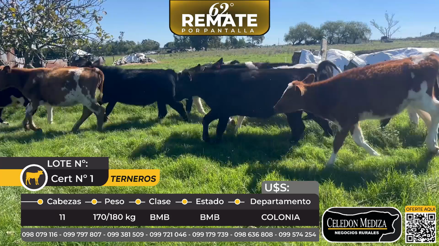 Lote 11 Terneros en Tarairas, a 2 km de Tarariras Ciudad, Colonia