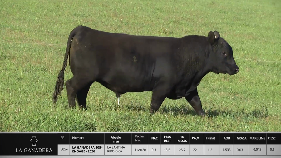 Lote LA GANADERA 3054 ENGAGE - 2520