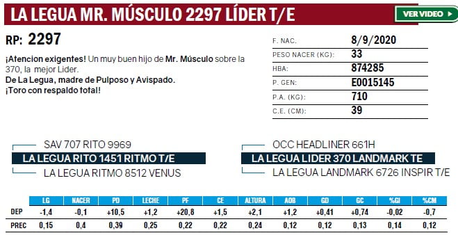 Lote TOROS ANGUS PURO DE PEDIGREE