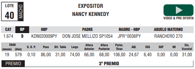 Lote LOTE 40