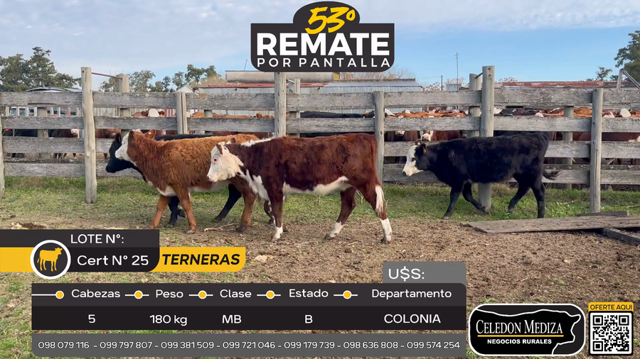 Lote 5 Terneras en El Cuadro, Colonia