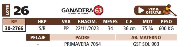 Lote LOTE 26