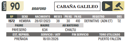 Lote LOTE 90