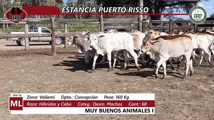 Lote Estancia Puerto Risso