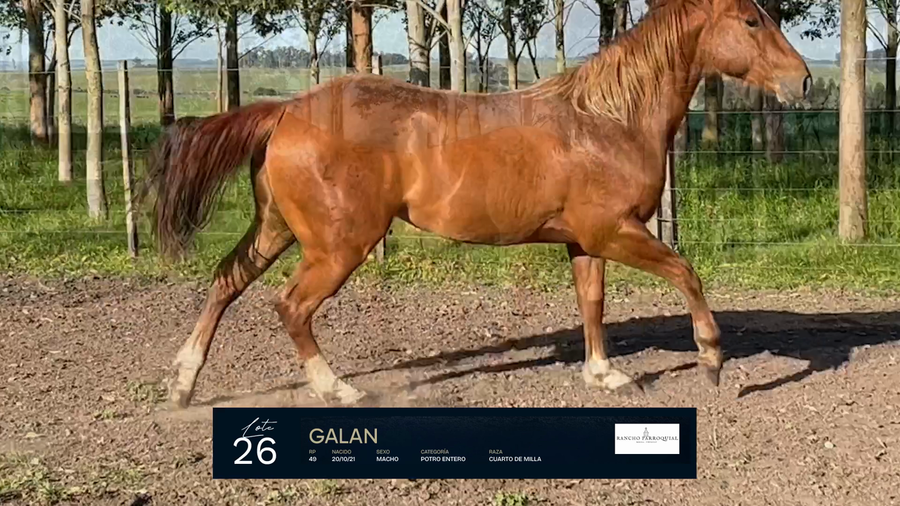 Lote GALAN