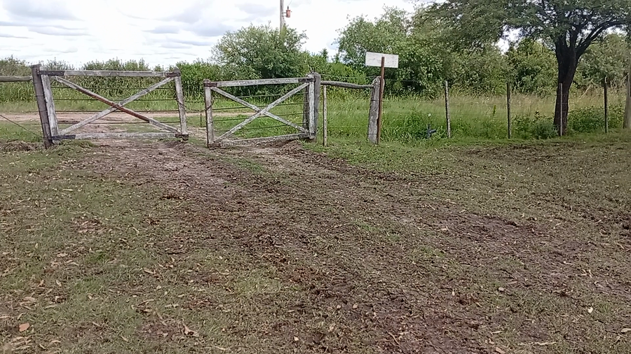 Lote 60 Vacas CUT con cría en Entre Ríos, San José de Feliciano