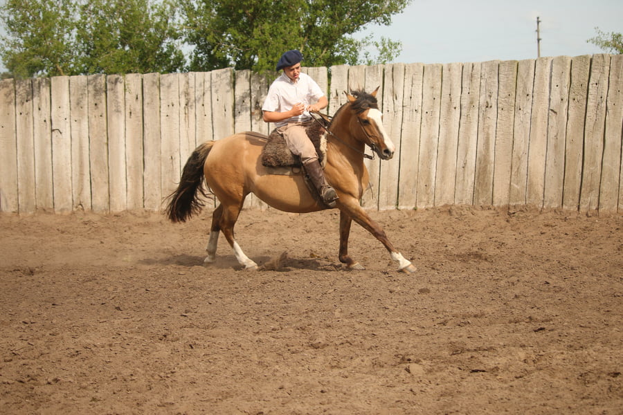 Lote LACAMPANA NATURALEZA