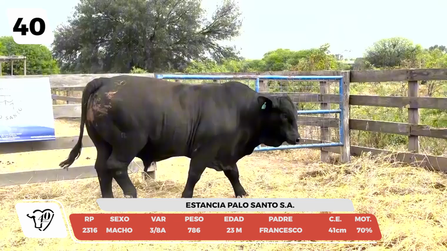 Lote LOTE 40-DE CAMPO