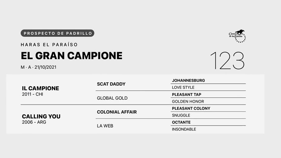 Lote EL GRAN CAMPIONE